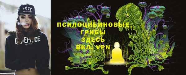 эйфоретик Кукмор